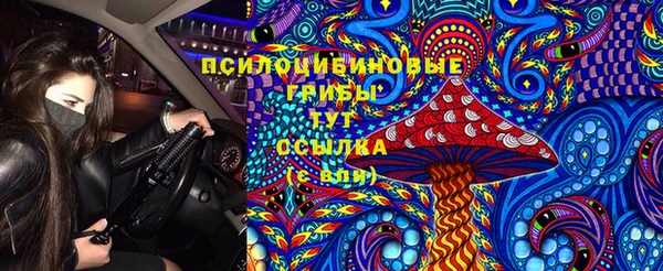гидропоника Арсеньев