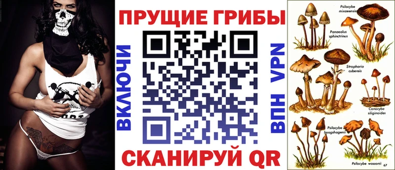 Псилоцибиновые грибы Psilocybine cubensis  Солигалич 